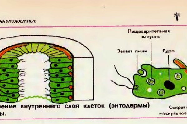 Кракен сайт vtor run