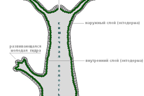 Как зарегаться на кракене