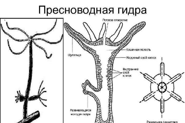 Нарко сайт кракен