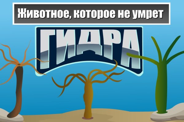 Kraken ссылка зеркало рабочее