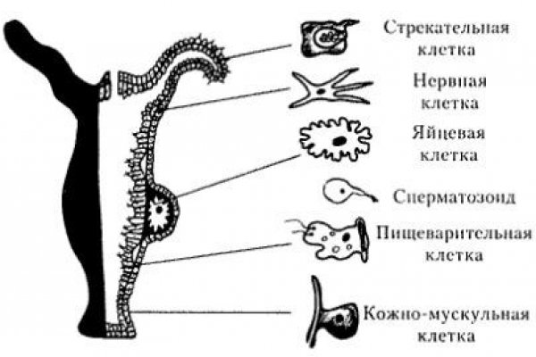 Кракен ссылка на тор