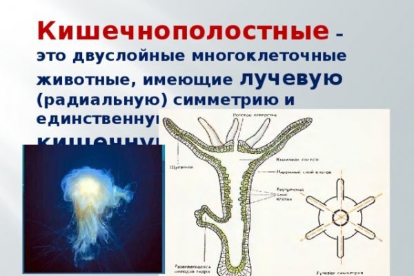 Что продают в кракен маркете